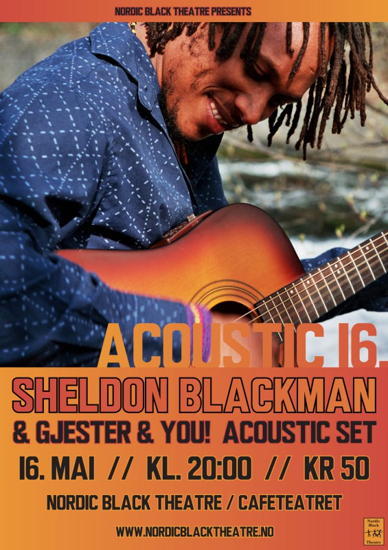 sheldon_acoustic16_2015b